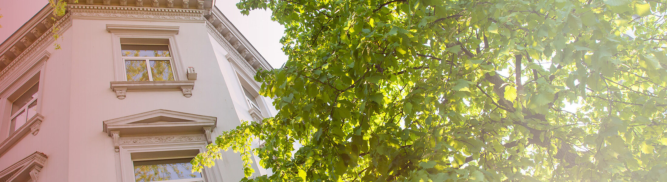 Mehr Nachhaltigkeit in der Baubranche: Revitalisierung als Alternative zu Abriss und Neubau